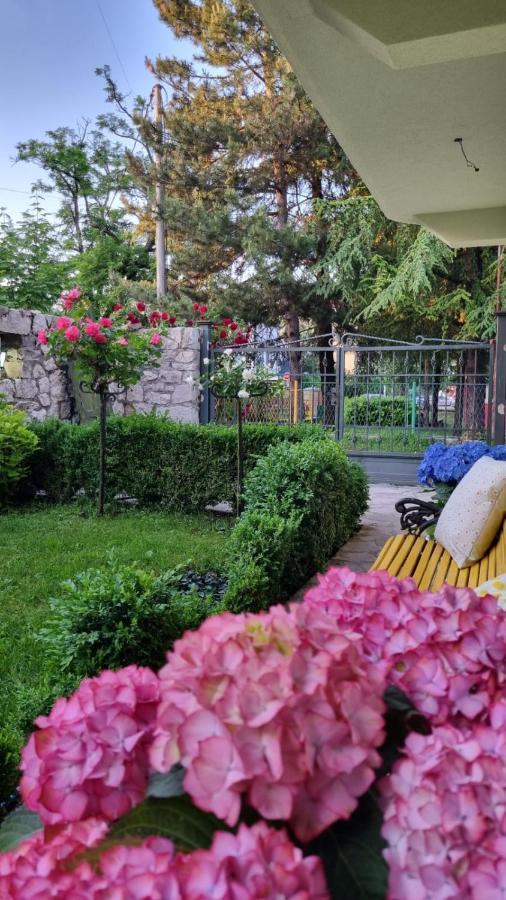 Apartman L&M 센틴제 외부 사진
