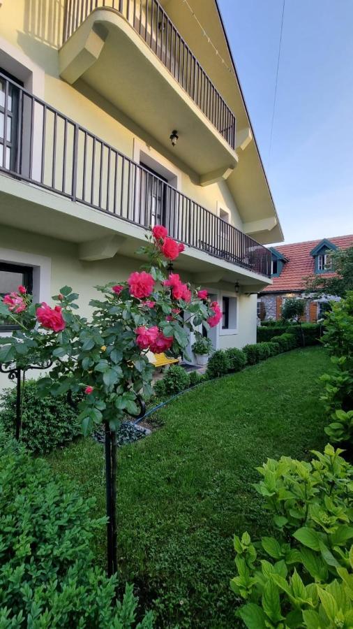 Apartman L&M 센틴제 외부 사진